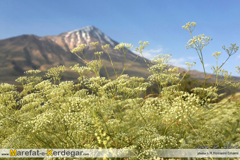 جاهای دیدنی کوه دماوند